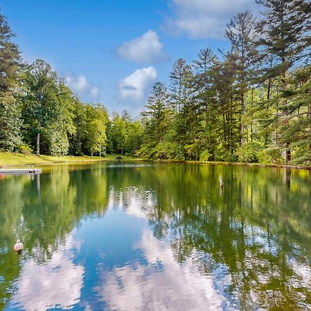 Bull Creek Peaceful Escape Villa แอชวิลล์ ภายนอก รูปภาพ
