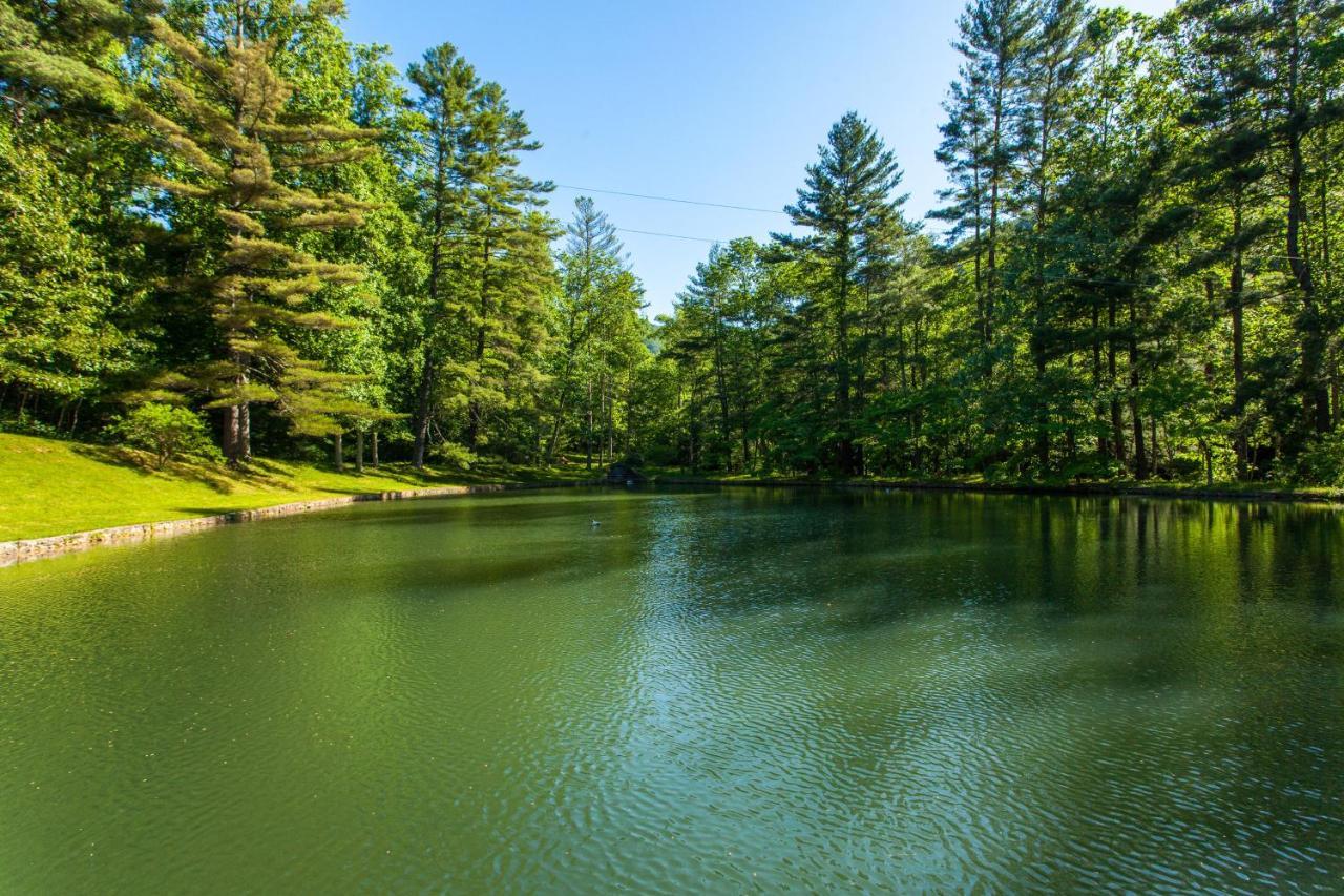 Bull Creek Peaceful Escape Villa แอชวิลล์ ภายนอก รูปภาพ